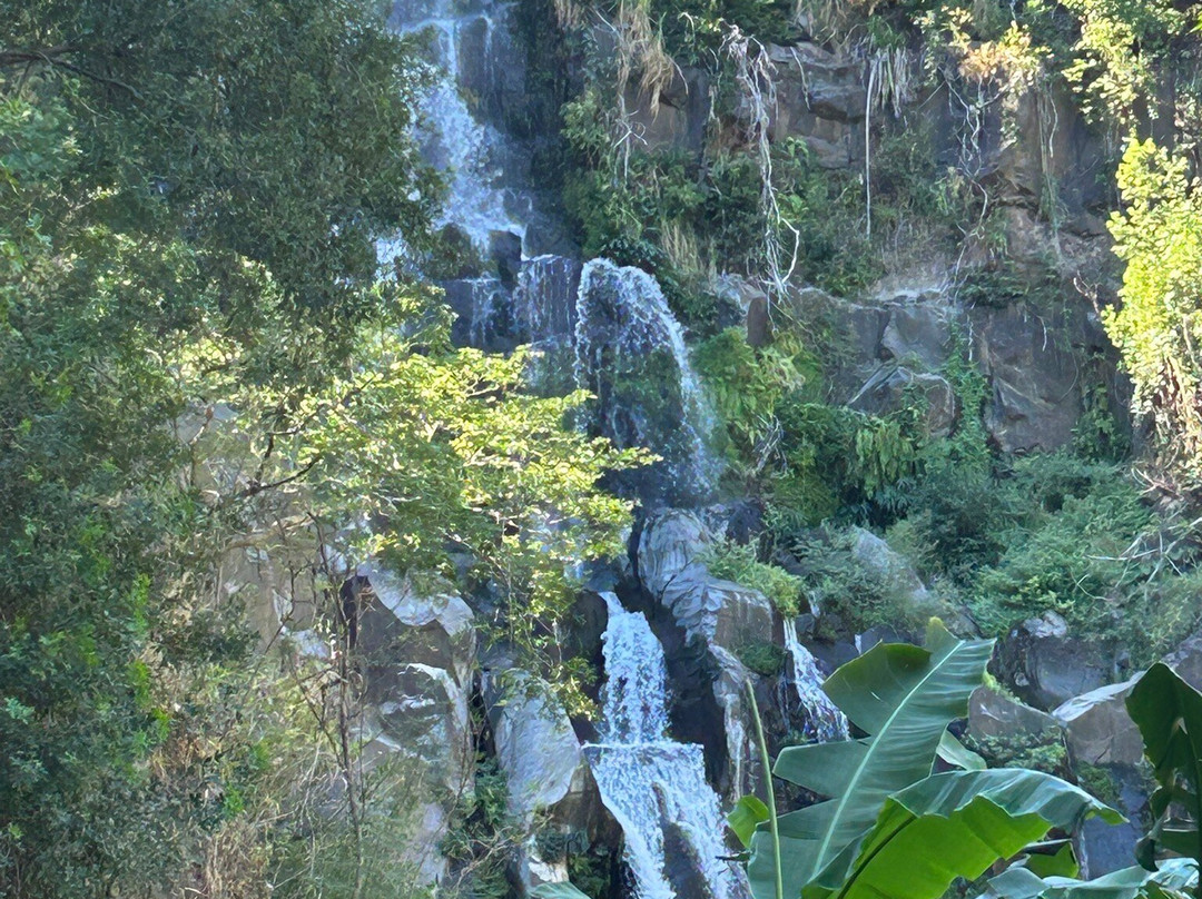 Bassin des Aigrettes-圣吉尔莱班必去景点