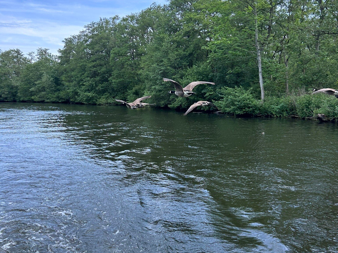 Broads Tours River Trips-罗克瑟姆必去景点