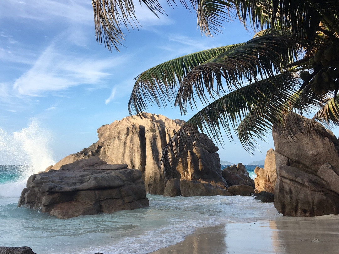 Anse Patates Beach-拉迪格岛必去景点
