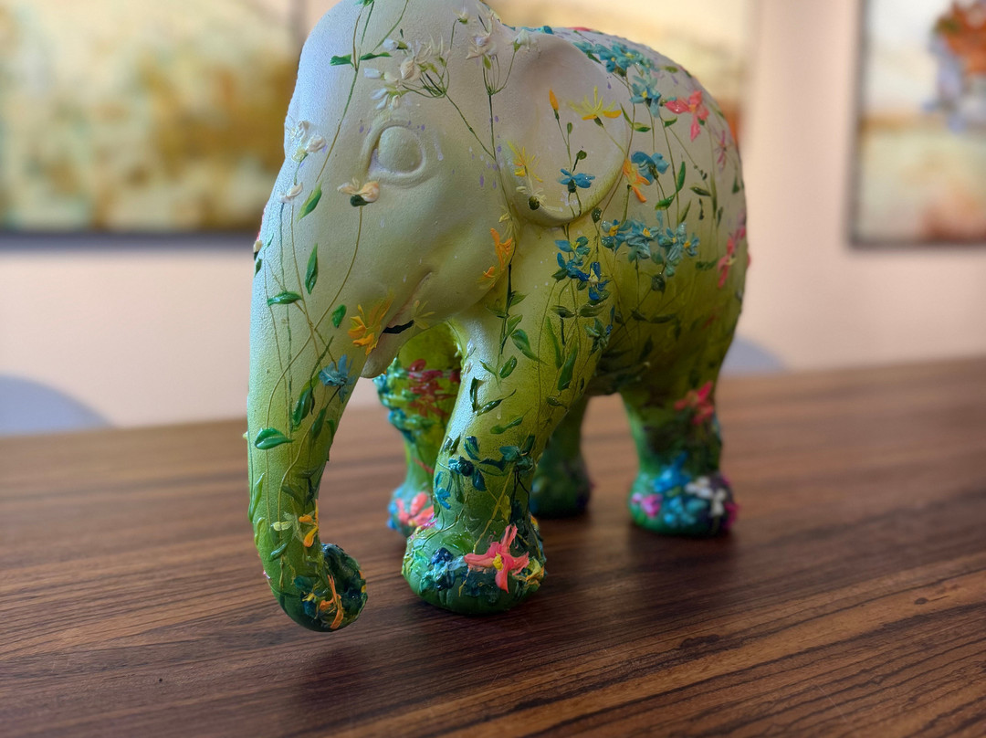 Amersfoort Art Galerie-阿默斯福特必去景点