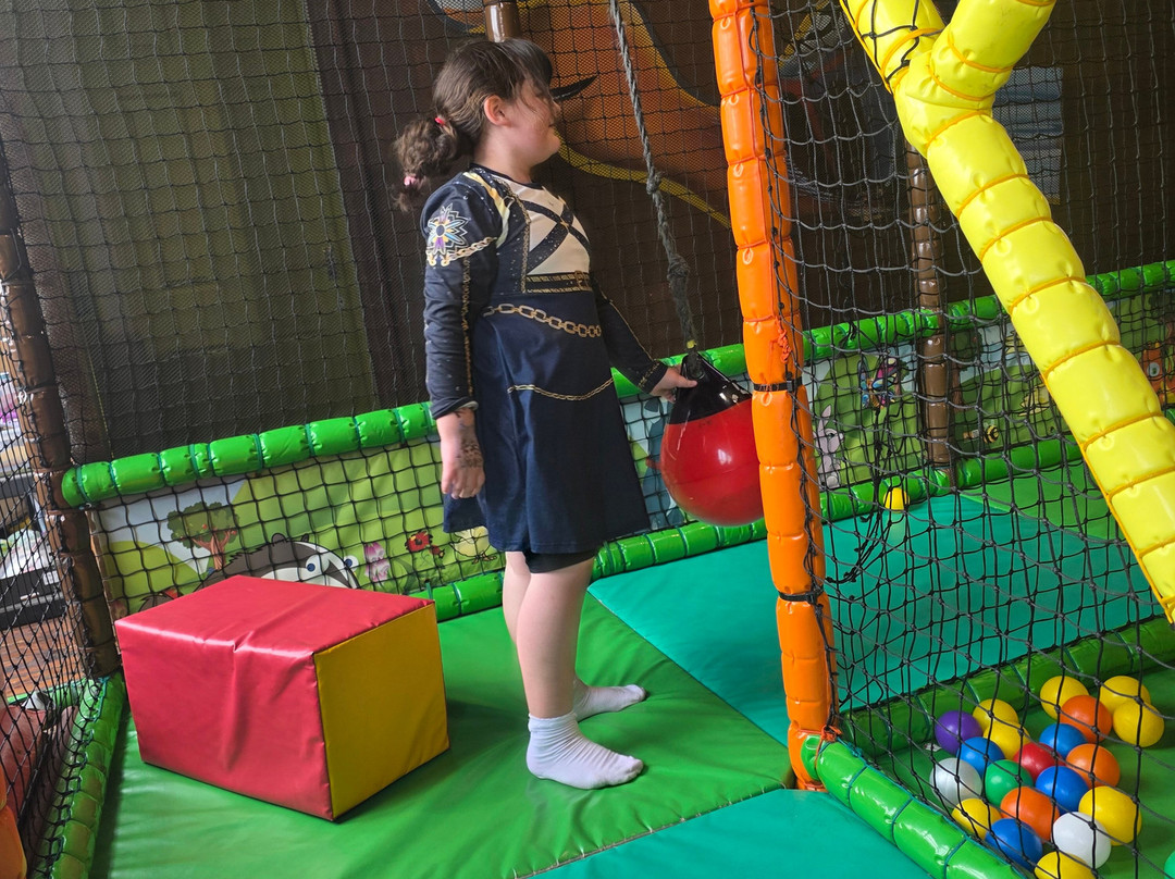 Charlie park Parties and softplay-Atherton必去景点