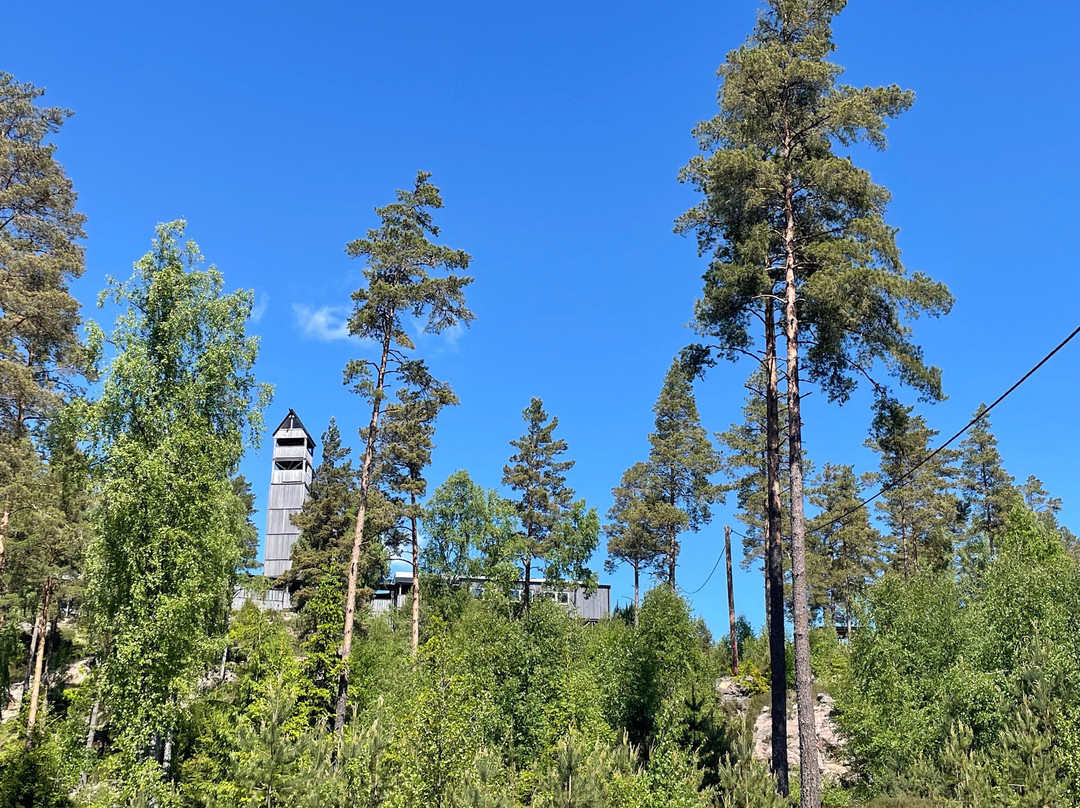 Sweden Zipline-Klavrestrom必去景点