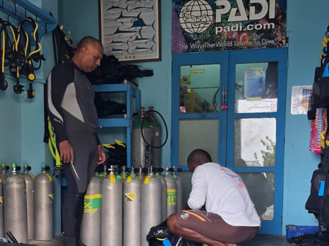 Tobago Dive Experience-Speyside必去景点
