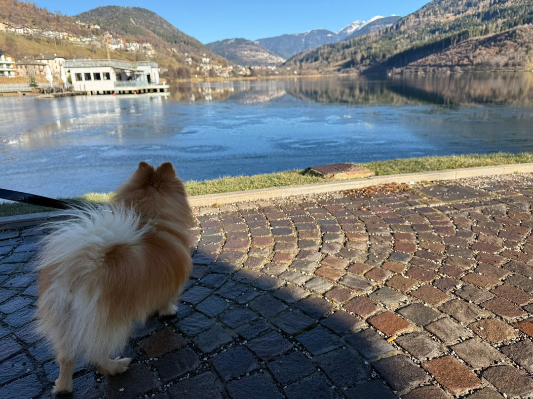 Lago della Serraia-Baselga di Pine必去景点