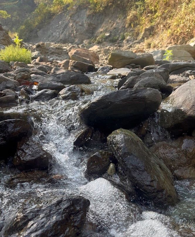 Aranyam River Retreat主图