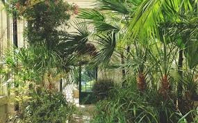 植物园-谢菲尔德必去景点