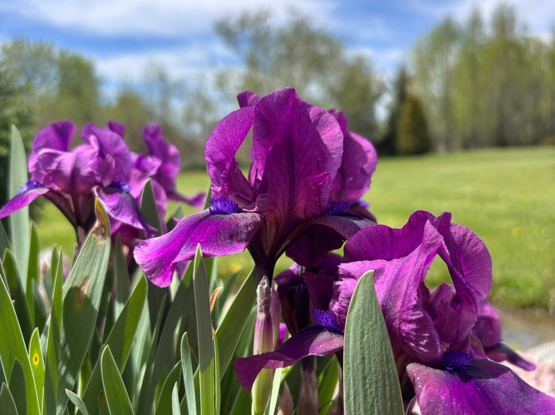 Whistling Gardens-Wilsonville必去景点