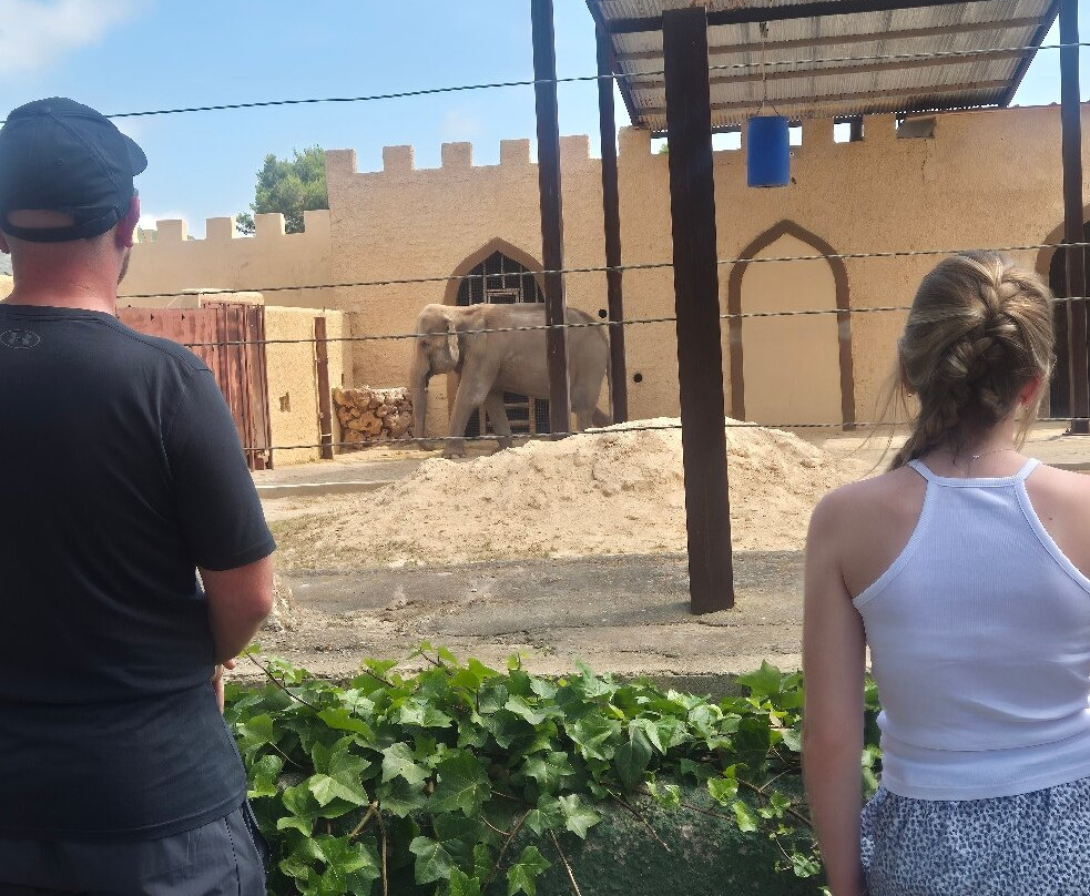 Safari Zoo Mallorca-萨可马必去景点