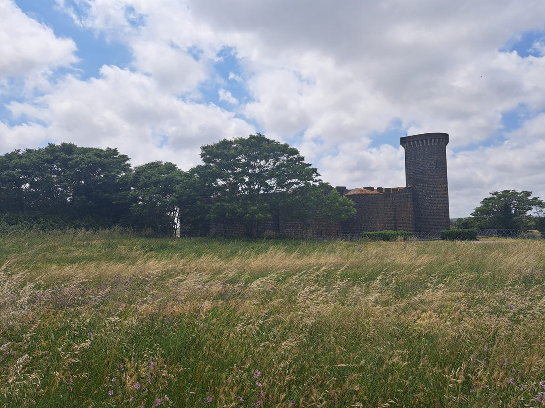 Parco Archeologico Naturalistico di Vulci-Montalto di Castro必去景点