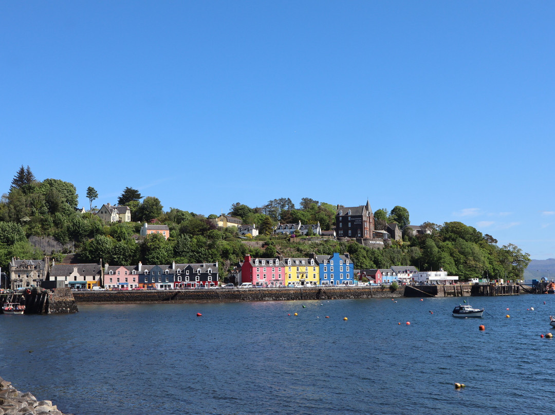 Tobermory Bay-Tobermory必去景点
