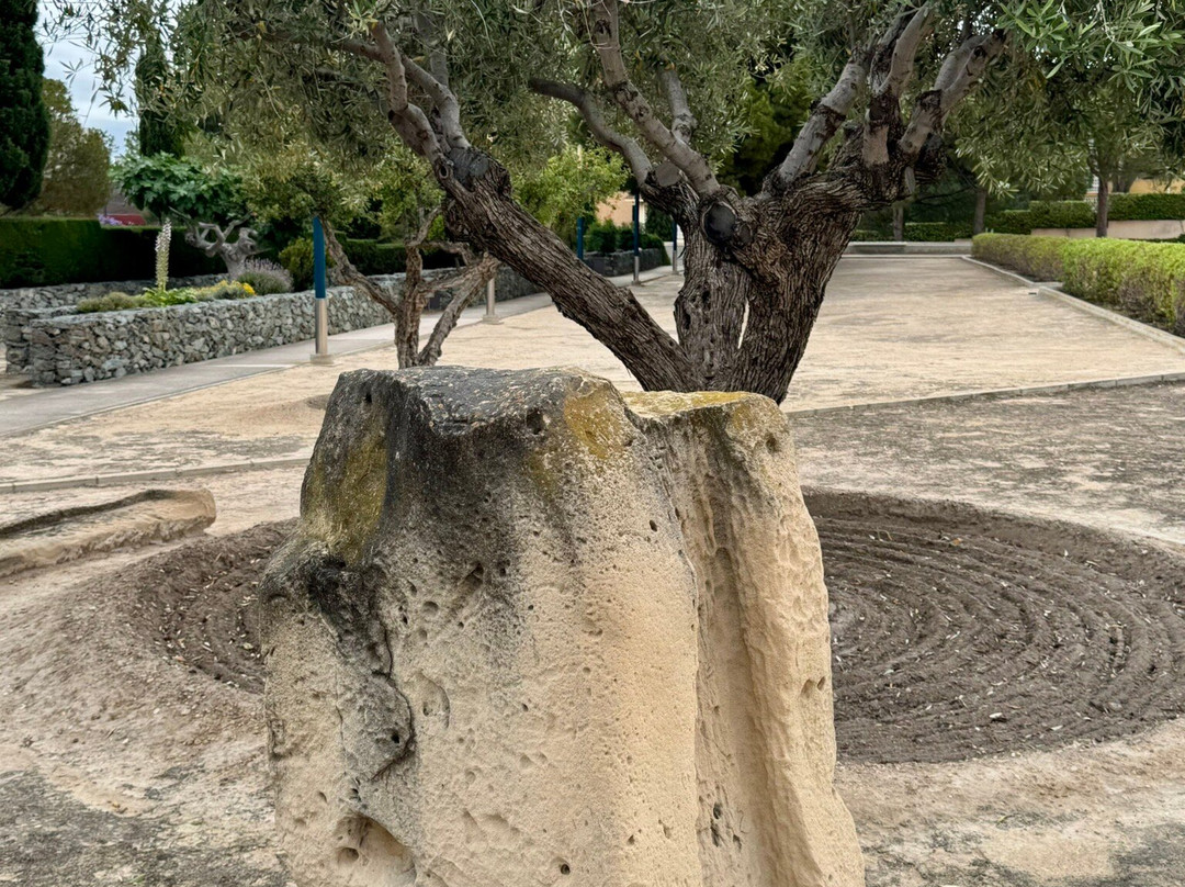 Tossal de Manises (Lucentum)-阿利坎特省必去景点