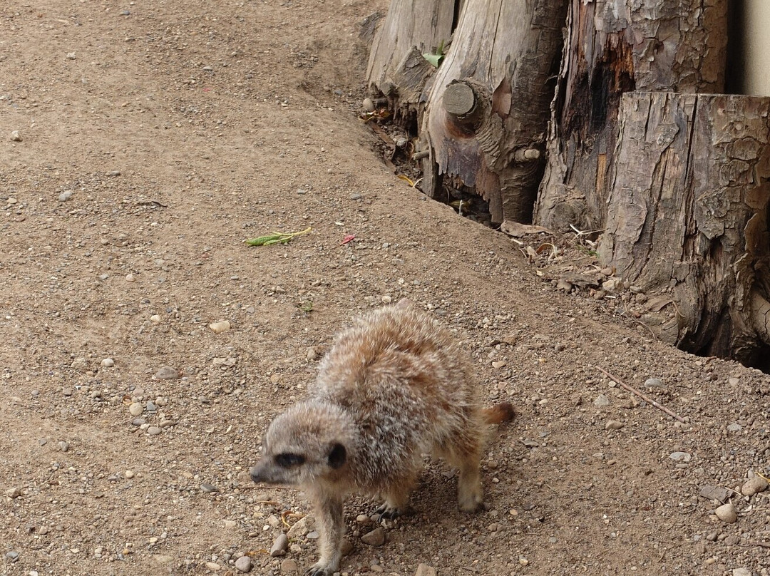 Filey Zoo-Filey必去景点