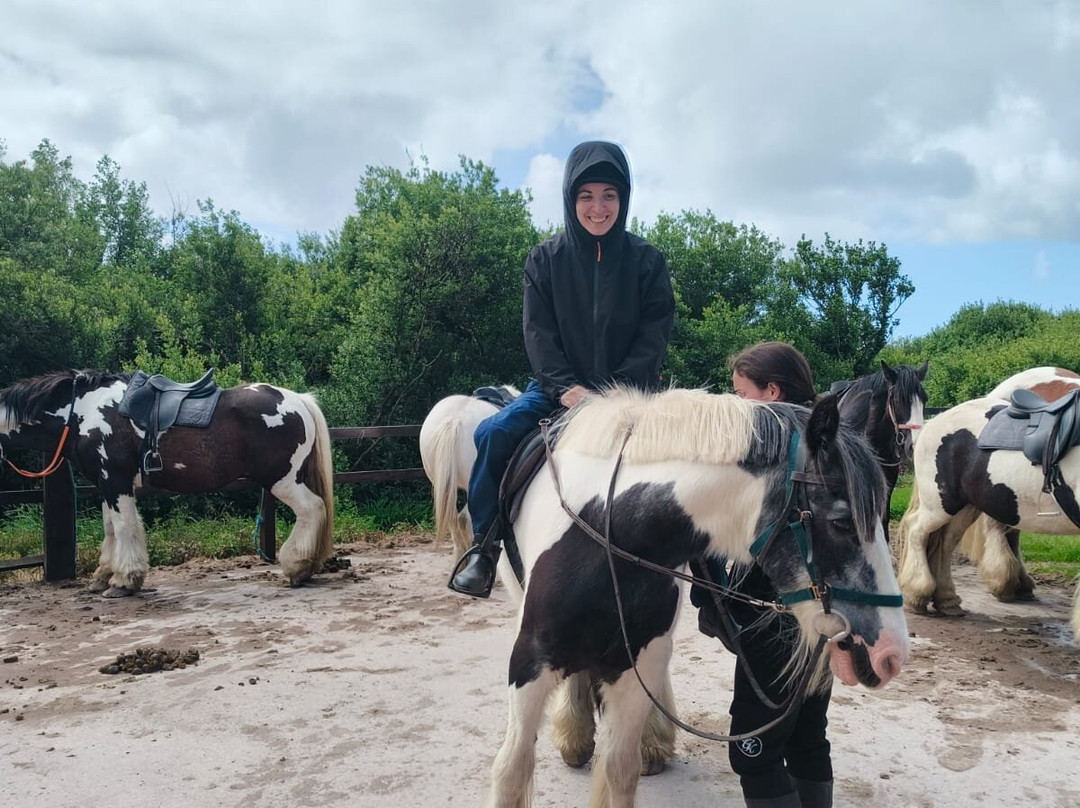 Long's Horse Riding-Ventry必去景点