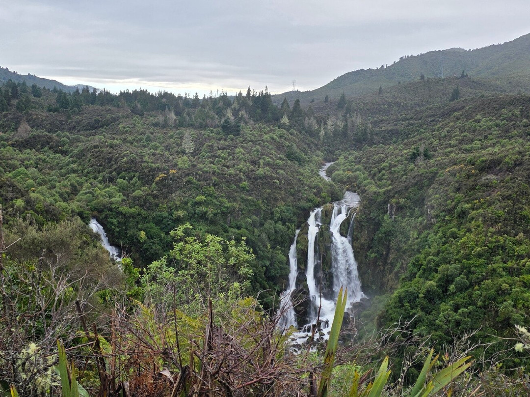 Waipunga Falls-怀卡托地区必去景点