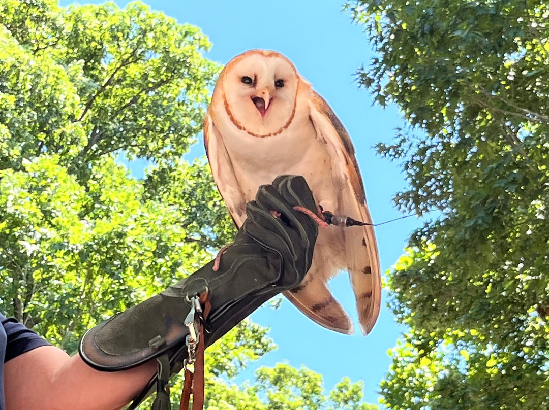 World Bird Sanctuary-Valley Park必去景点