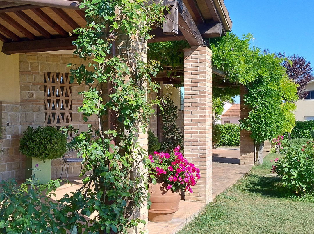 Il Giardino Delle Rose主图