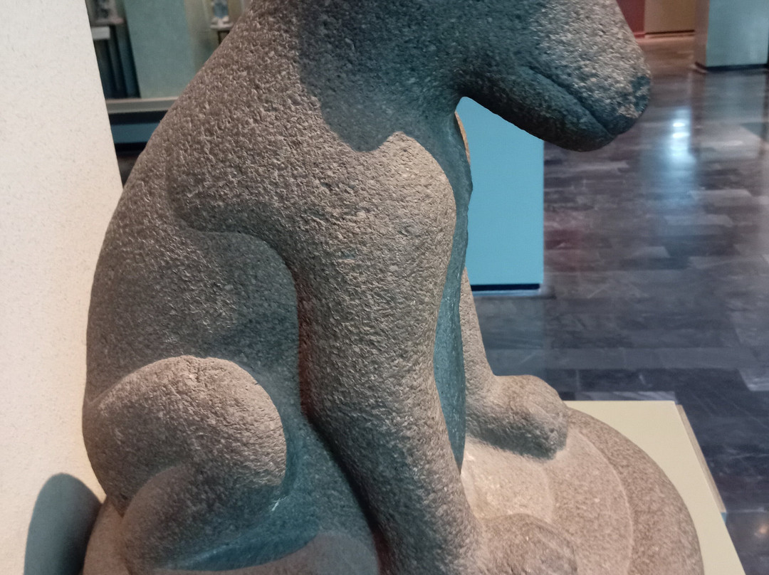国家人类学博物馆 (Museo Nacional de Antropologia)-墨西哥城必去景点