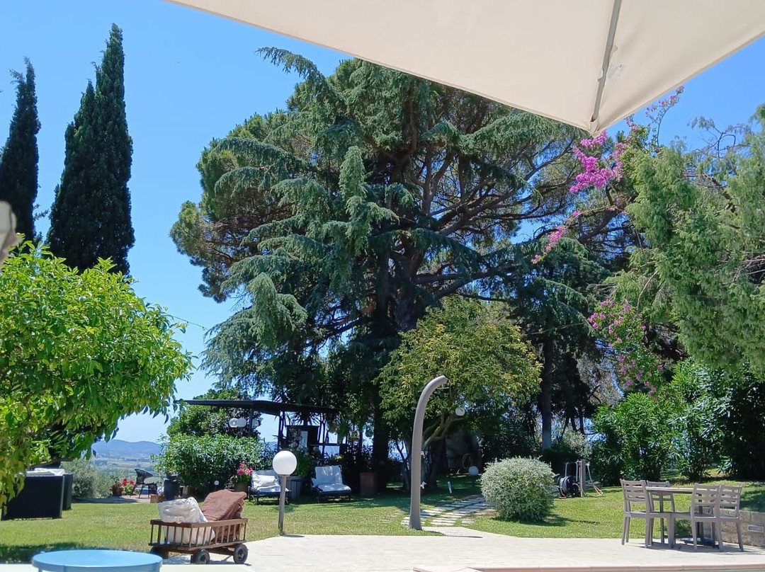 B&B Villa il Poggetto主图