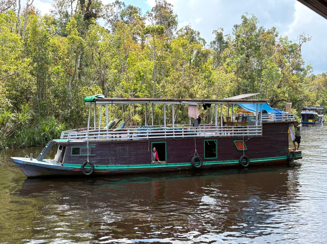 Tanjung Puting Borneo Tour-Pangkalan Bun必去景点
