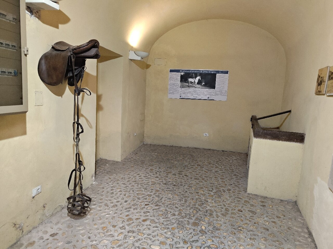 Museo Casa Natale di Gabriele d'Annunzio-佩斯卡拉必去景点