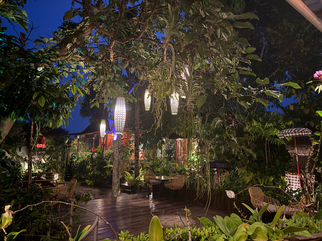Kayoo Jungle Lounge