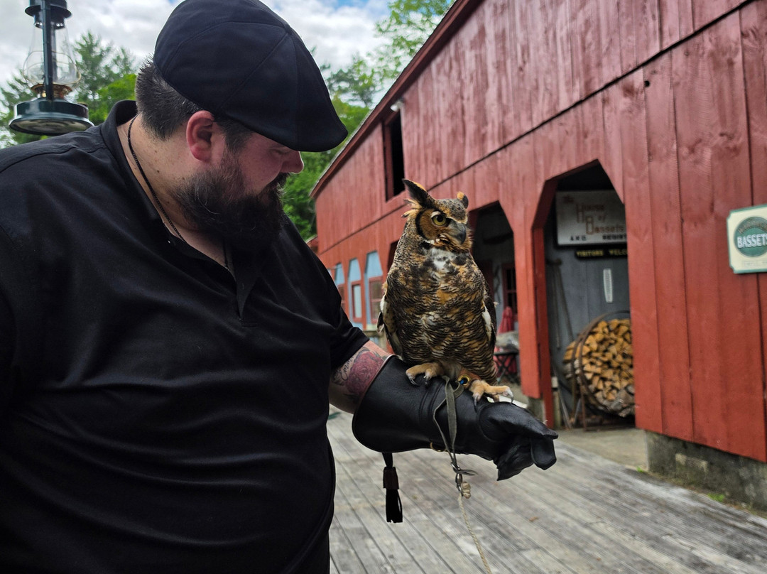 Monadnock Falconry-Temple必去景点