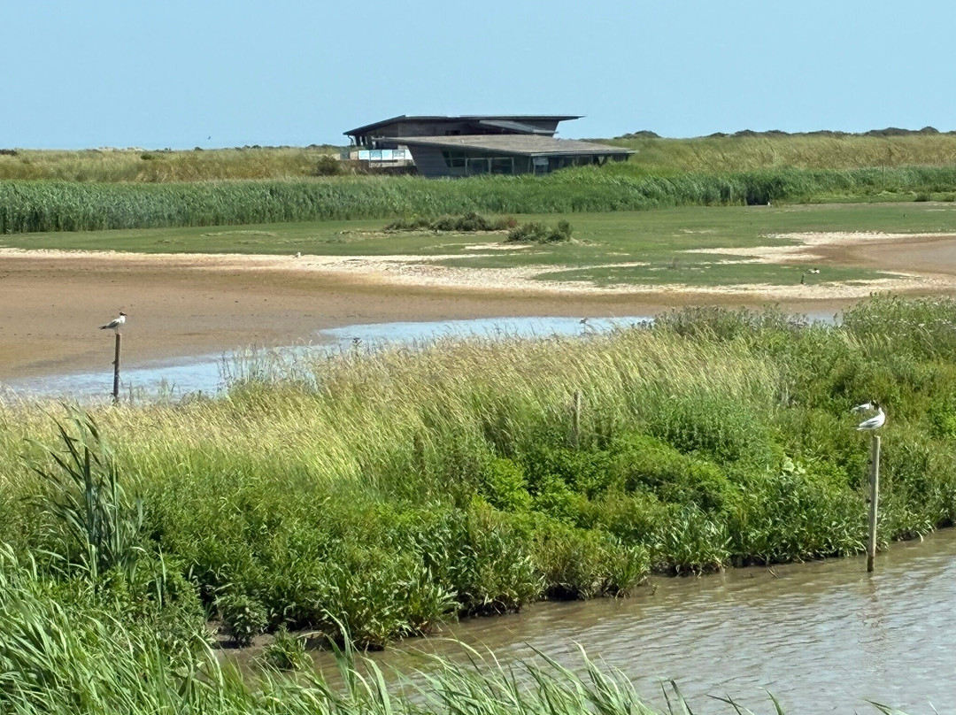 RSPB Titchwell Marsh-Titchwell必去景点