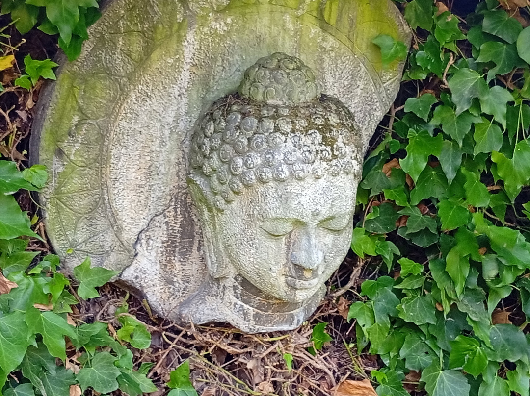 Le Jardin De La Méditation-Saint-Venant必去景点