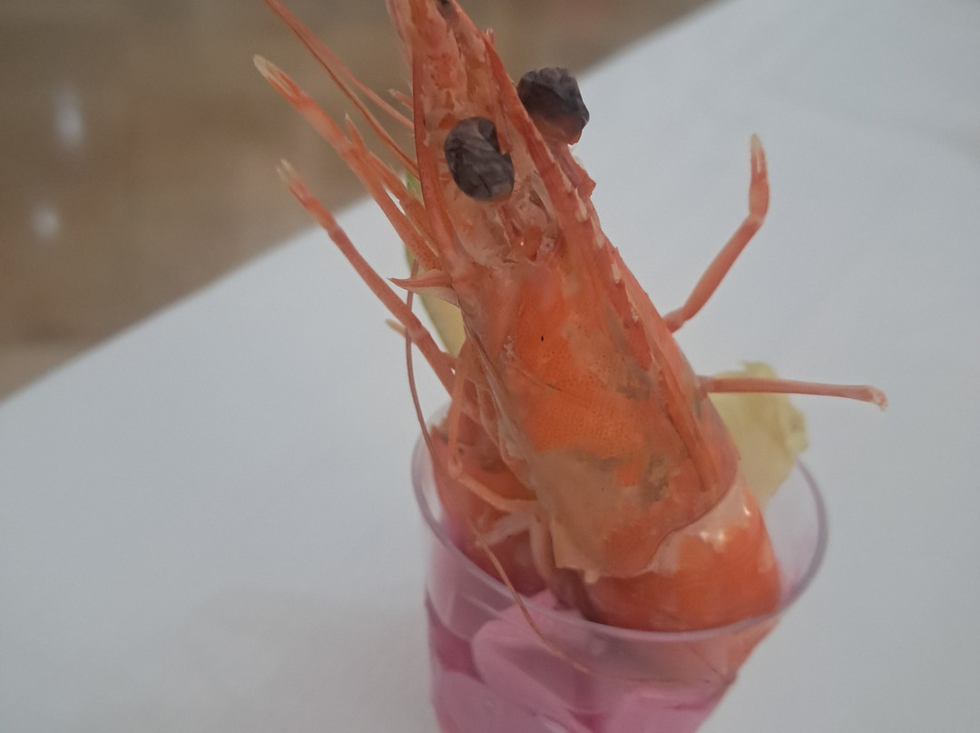 海景马赫迪耶酒店主图