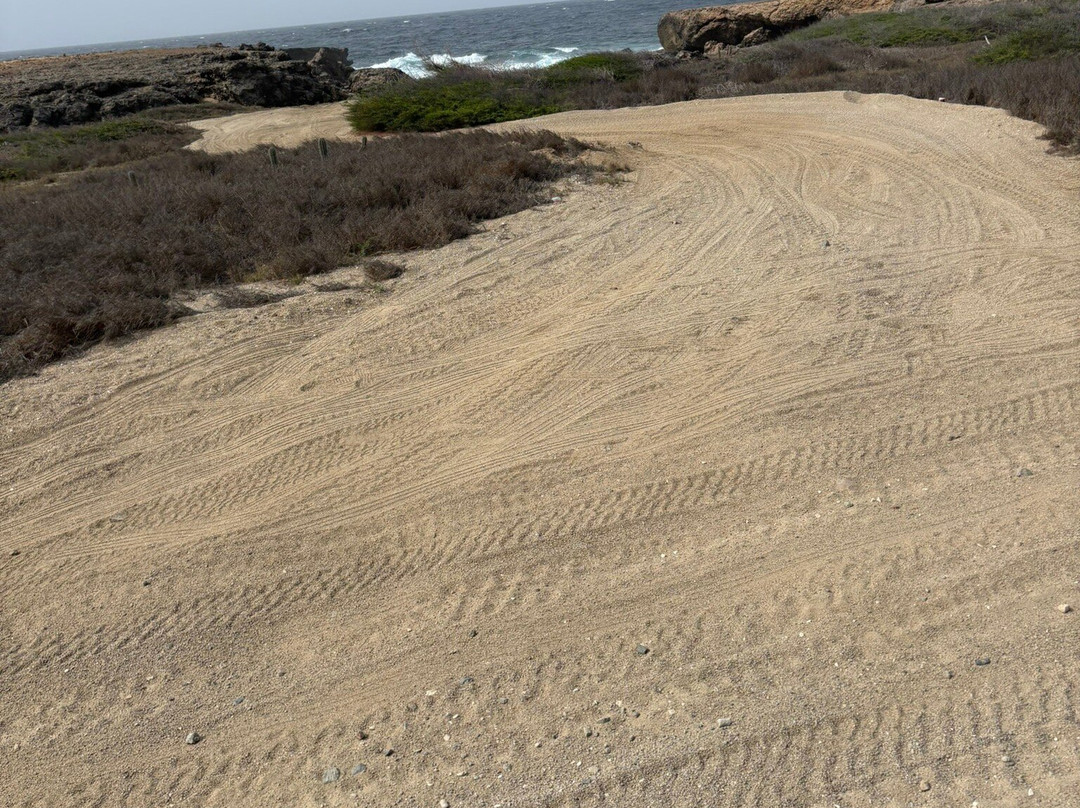 RockaBeach Tours-奥腊涅斯塔德必去景点