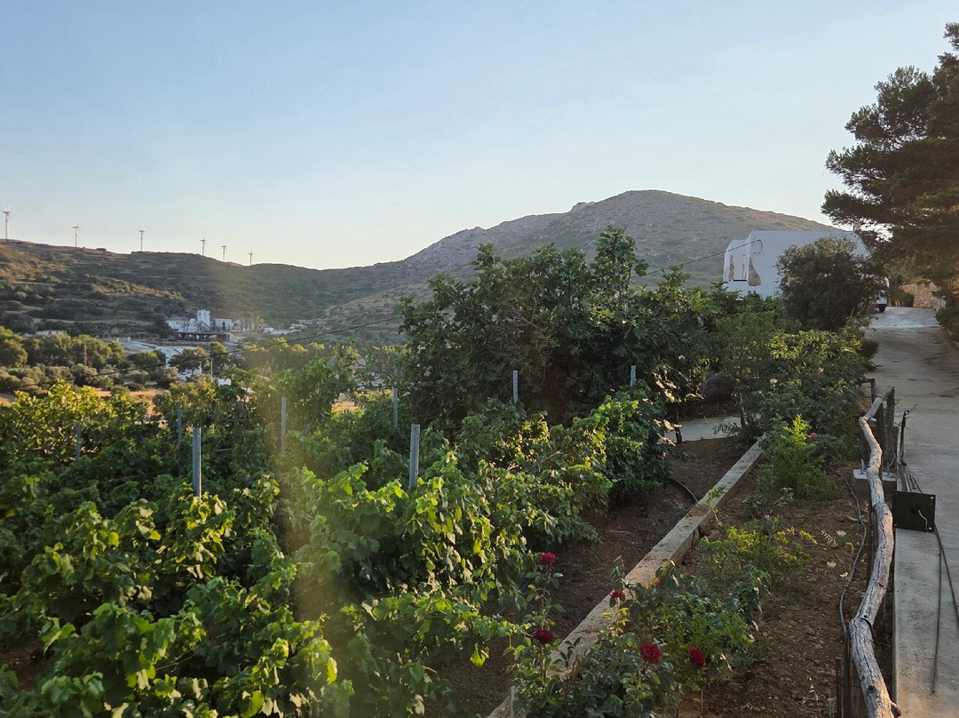 Hatzidakis Winery-Léros必去景点