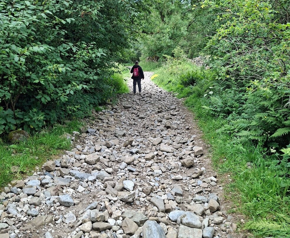 Garrigill Ashgill Force-Garrigill必去景点