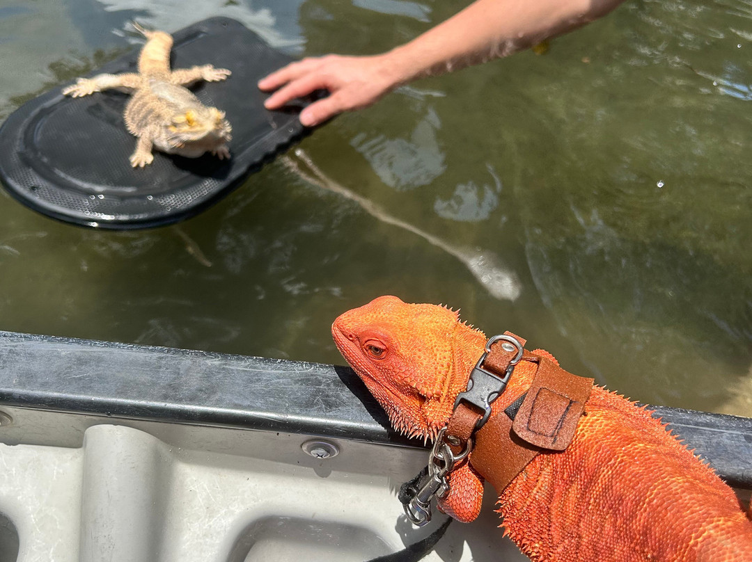 Weeki Wachee Marina-Weeki Wachee必去景点