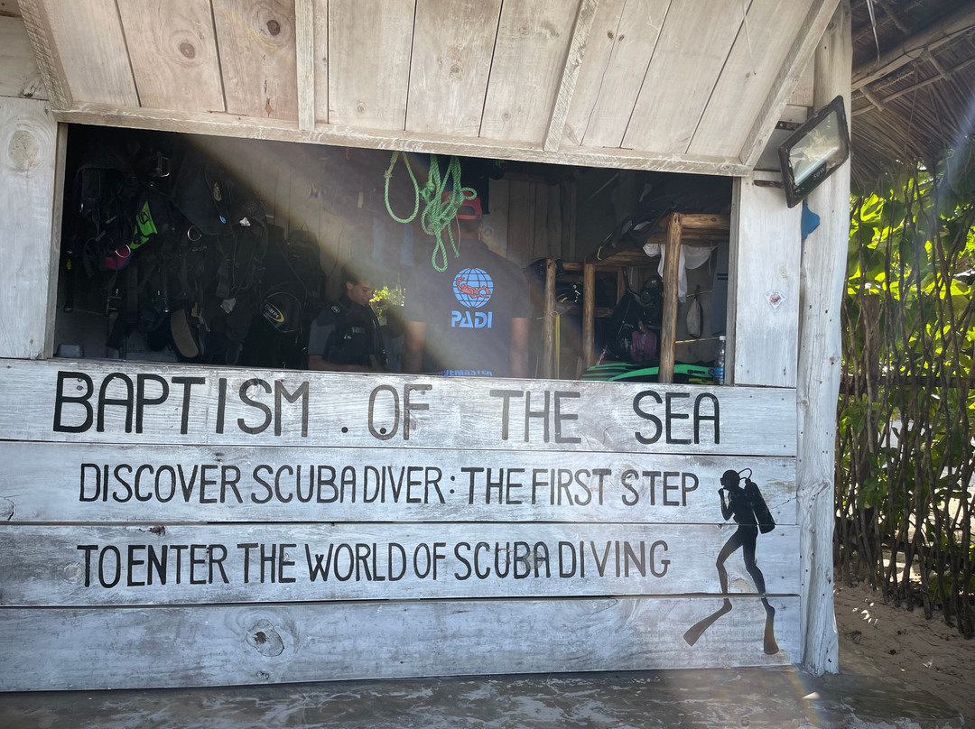 Pole Pole Divers Diving Center-江比阿尼必去景点
