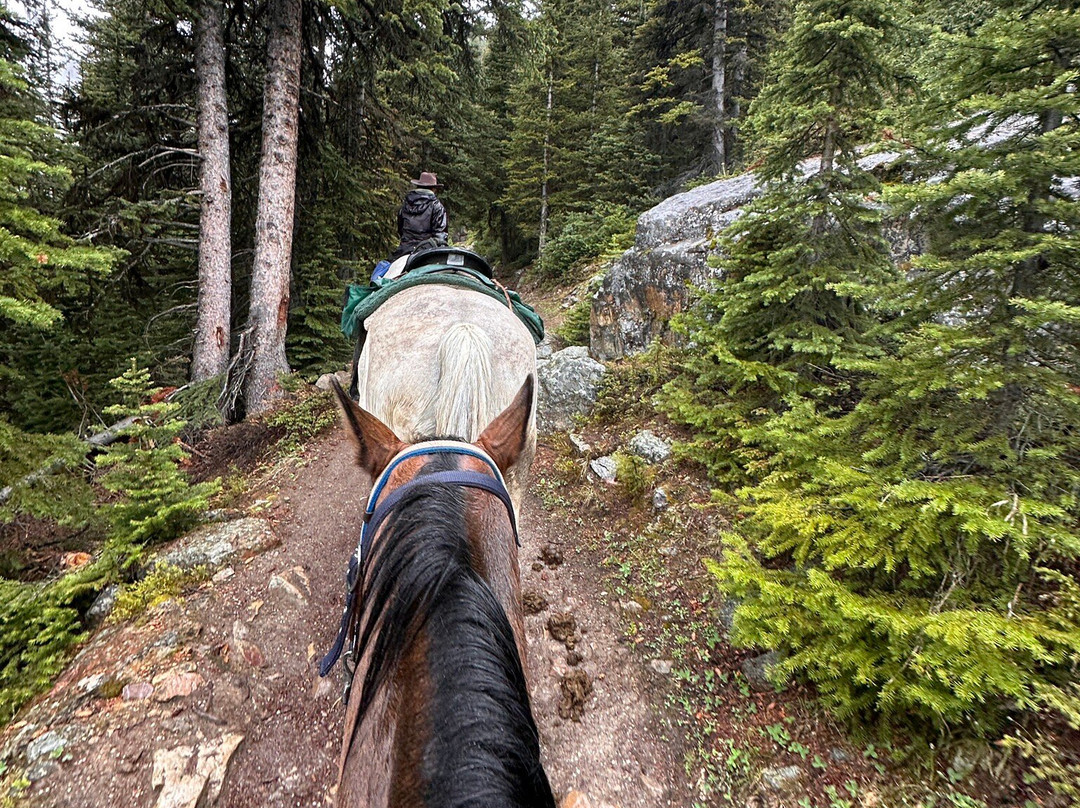 Timberline Tours Ltd. - Private Day Tours-路易斯湖必去景点