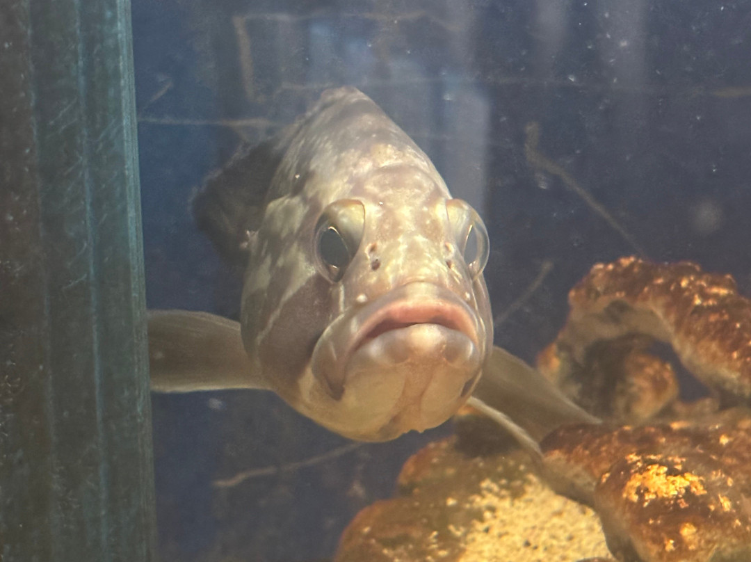 Aquarium Of Faliraki (Aquaworld)-Faliraki必去景点
