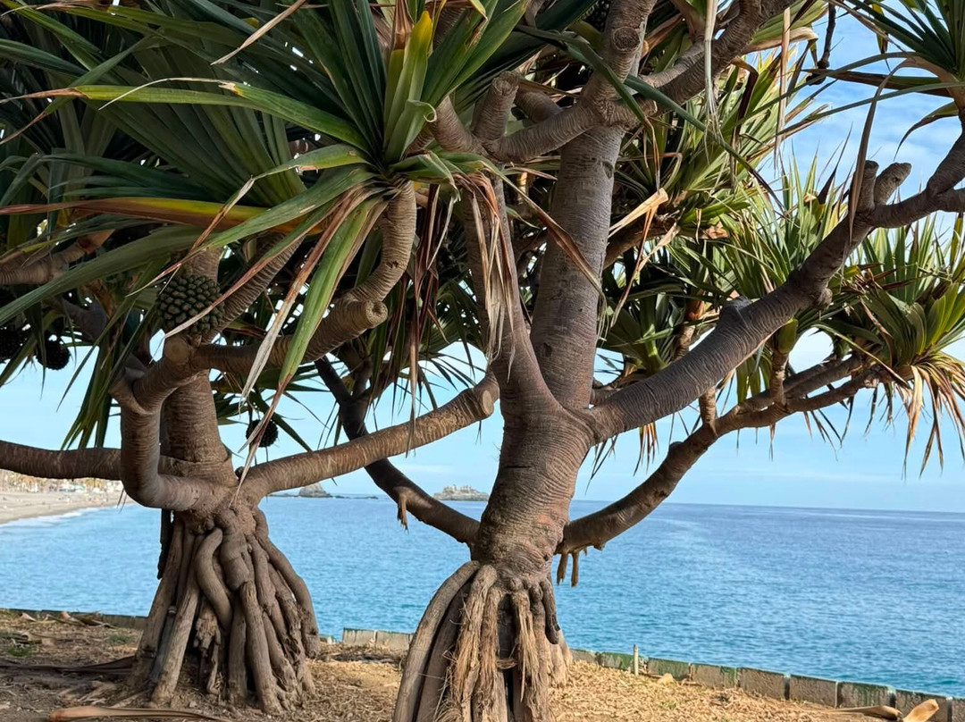 Playa San Cristobal-阿尔穆涅卡尔必去景点