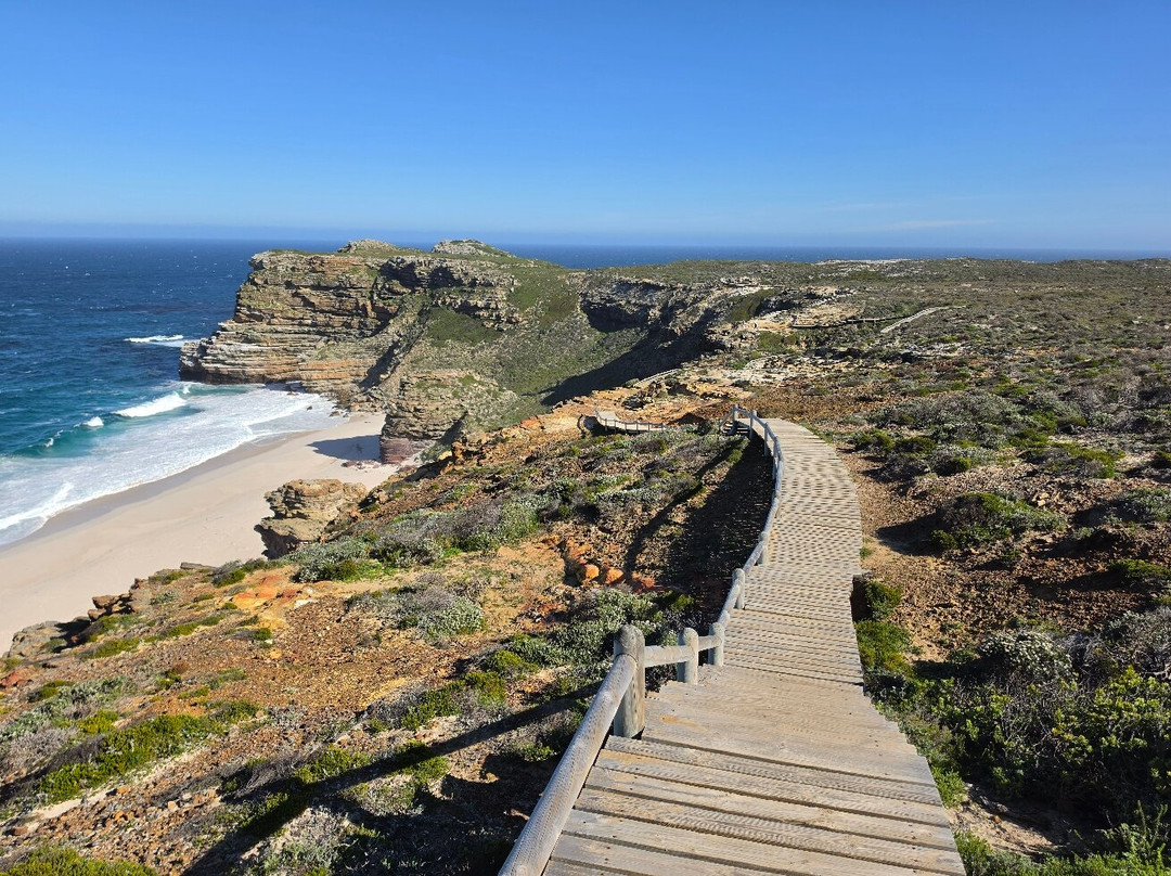 Cape of Good Hope-桌山国家公园必去景点