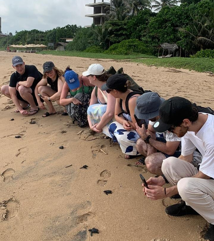 Sea Turtle Farm Galle Mahamodara-加勒必去景点