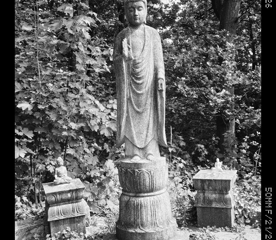 The Buddhist House Berlin-柏林必去景点