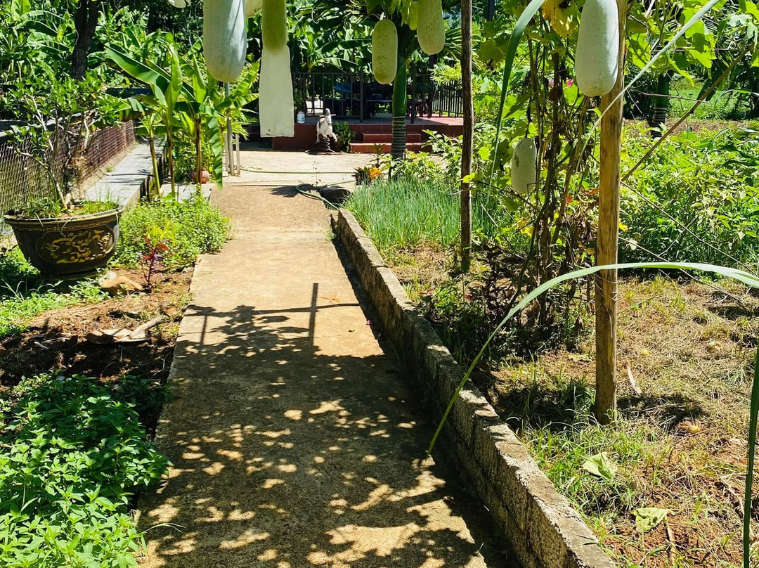 Dong Du Village Lakeside Farm Stay-Nghia Thuan必去景点