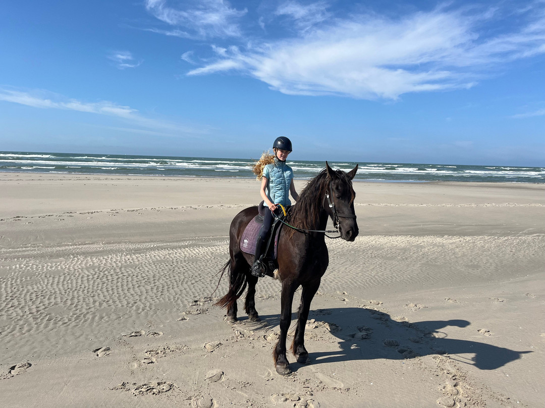Puur Terschelling-Terschelling必去景点