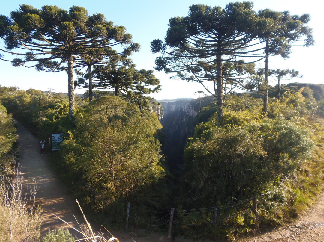 Itaimbezinho Canyon-Cambará do Sul必去景点