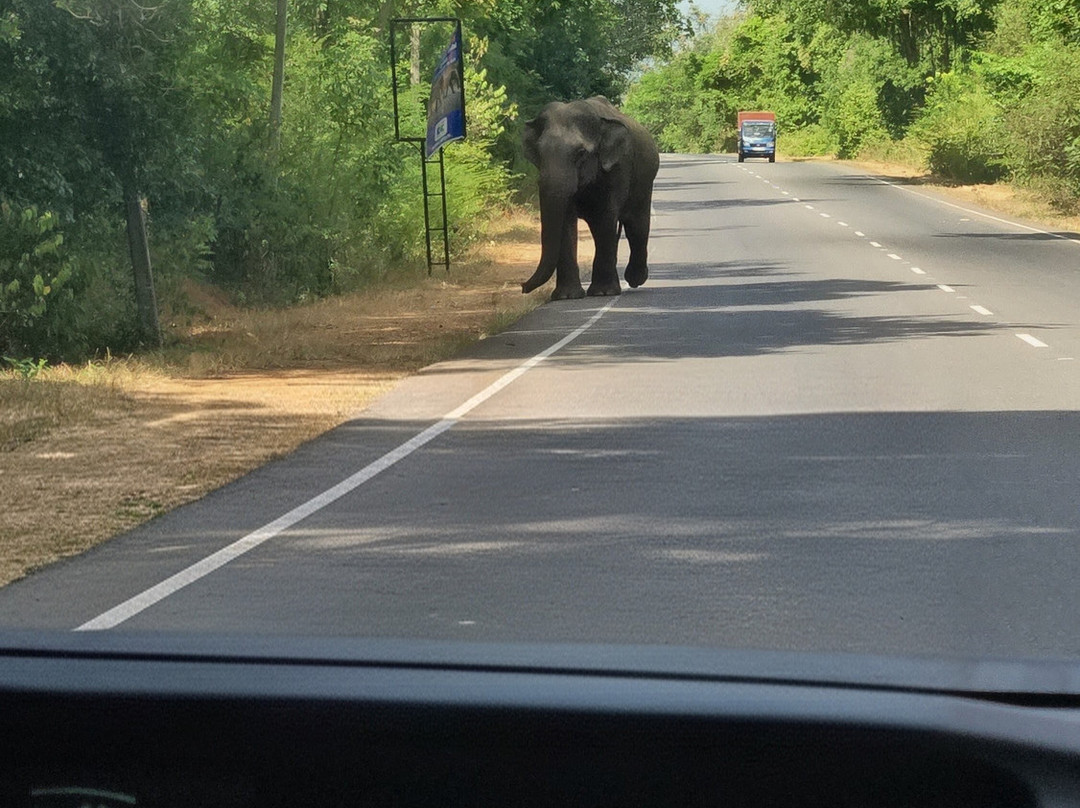 Off 2 Sri Lanka Private Tours-Piliyandala必去景点