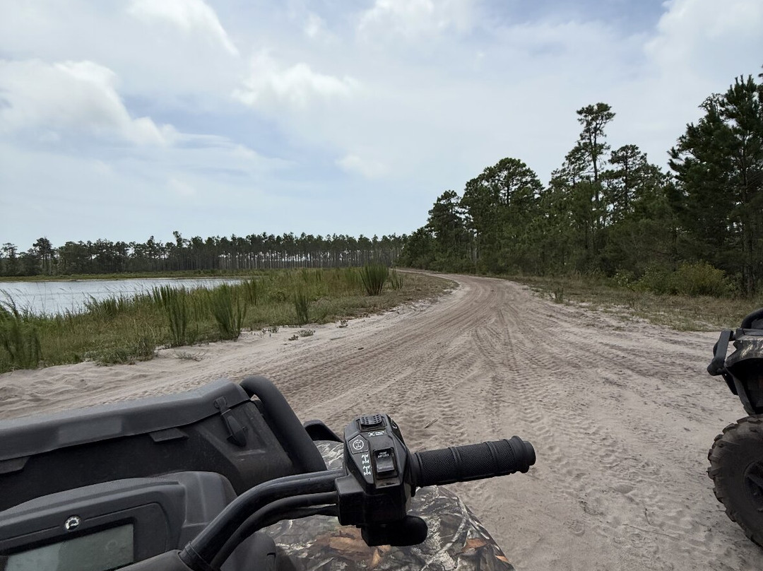 The Swamp Park-Ocean Isle Beach必去景点