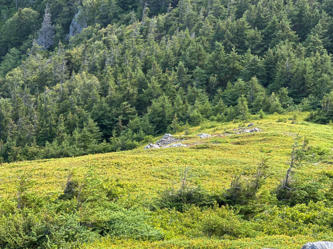 Skyline Trail-布雷顿角岛必去景点