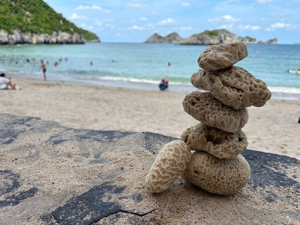Flamingo Cat Ba Resorts-旅行者