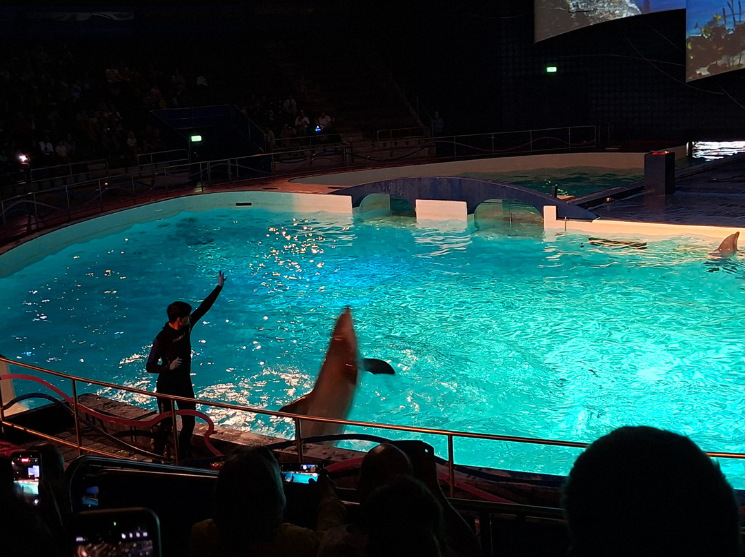 Dolfinarium-Harderwijk必去景点