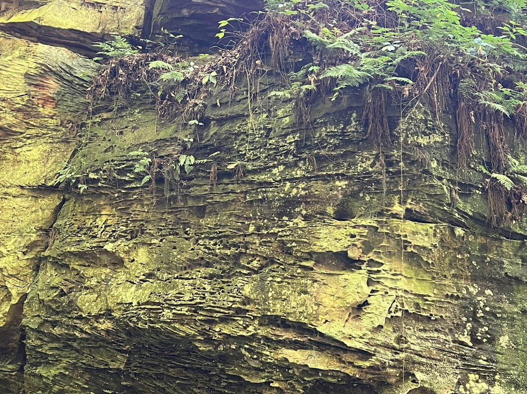 Turkey Run State Park-Marshall必去景点