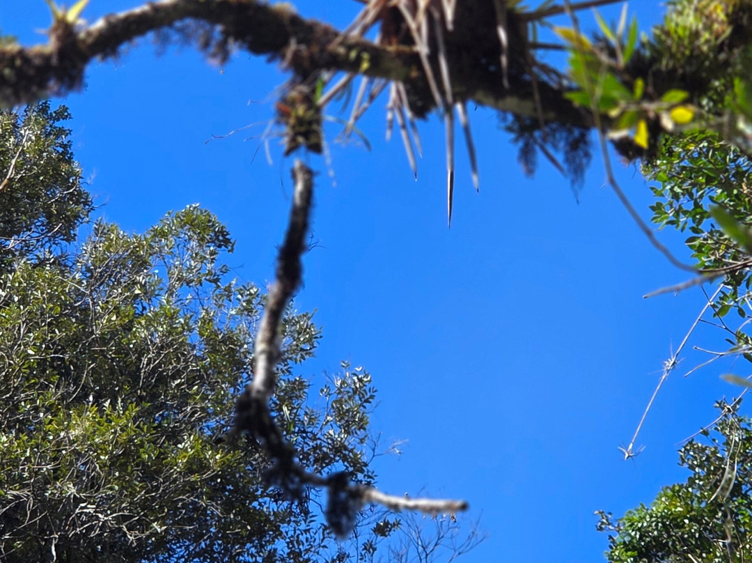 Parque Estadual da Serra do Mar-Cunha必去景点